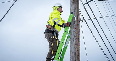 Werner-Extension-Ladders Werner-Extension-Ladders