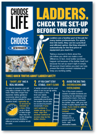 Werner Ladder Safety Guide - Check before you step up